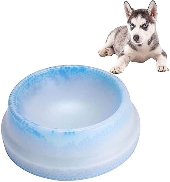 PawLites-Pet-Ice-Frosty-Bowl-Dogs-Cats-Rabbit-Cooling-Bowl-Frosty-Chilled-Pet-Bowl-Pet-Cool-Fresh-Water-Bowl-Dog-Cat-Bow-B0CFFR2N3D